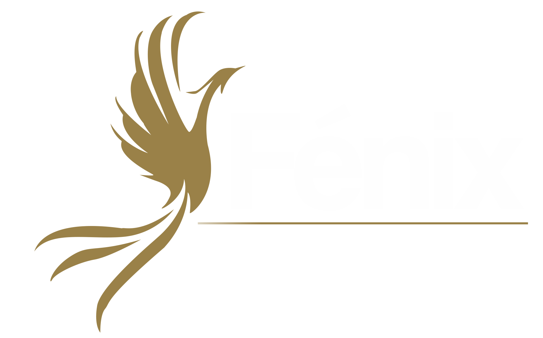 Fénix Aeronáutica